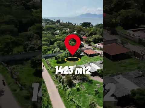 Previsualización de video