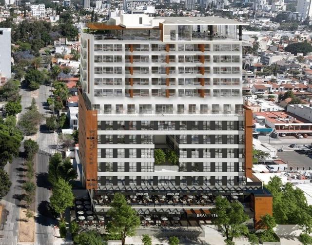 Foto de la galeria de imagenes