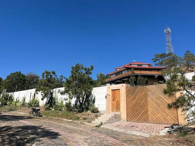Foto de la galeria de imagenes