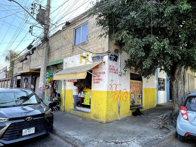 Foto de la galeria de imagenes