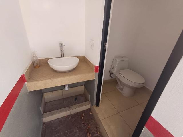 Foto de la galeria de imagenes