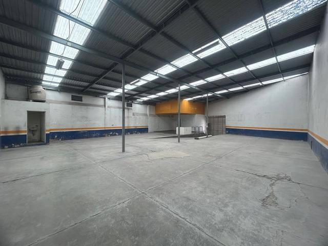 Foto de la galeria de imagenes