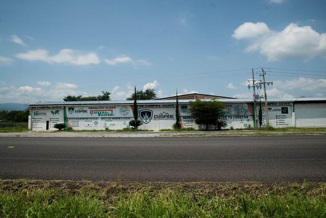 Foto de la galeria de imagenes