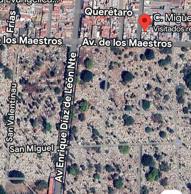 Foto de la galeria de imagenes