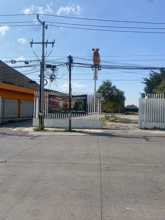Foto de la galeria de imagenes