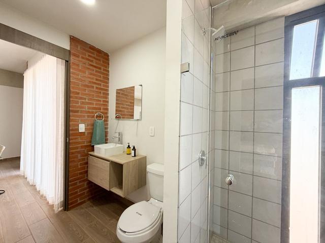 Foto de la galeria de imagenes