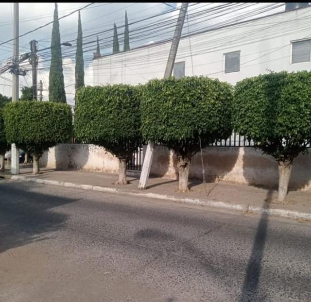 Foto de la galeria de imagenes
