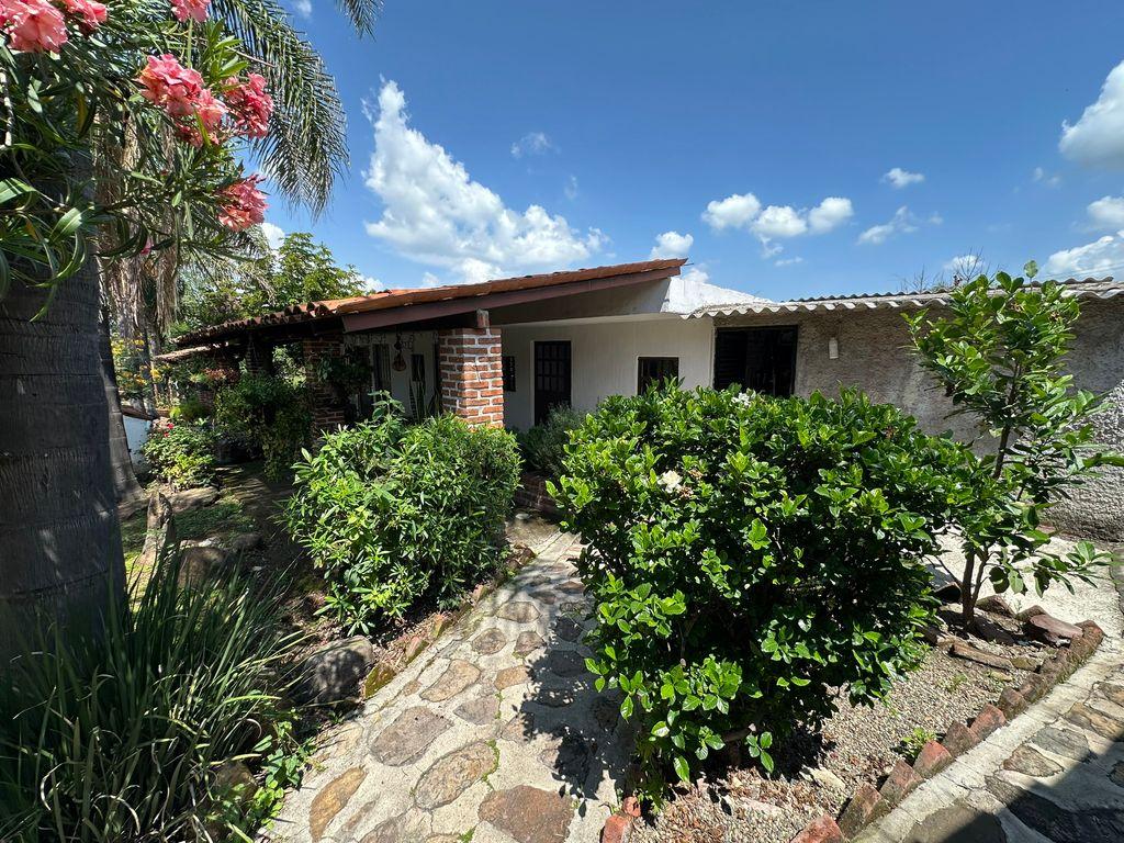 Foto de la galeria de imagenes