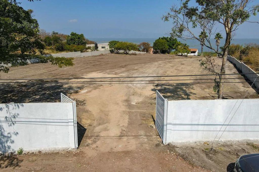 Foto de la galeria de imagenes